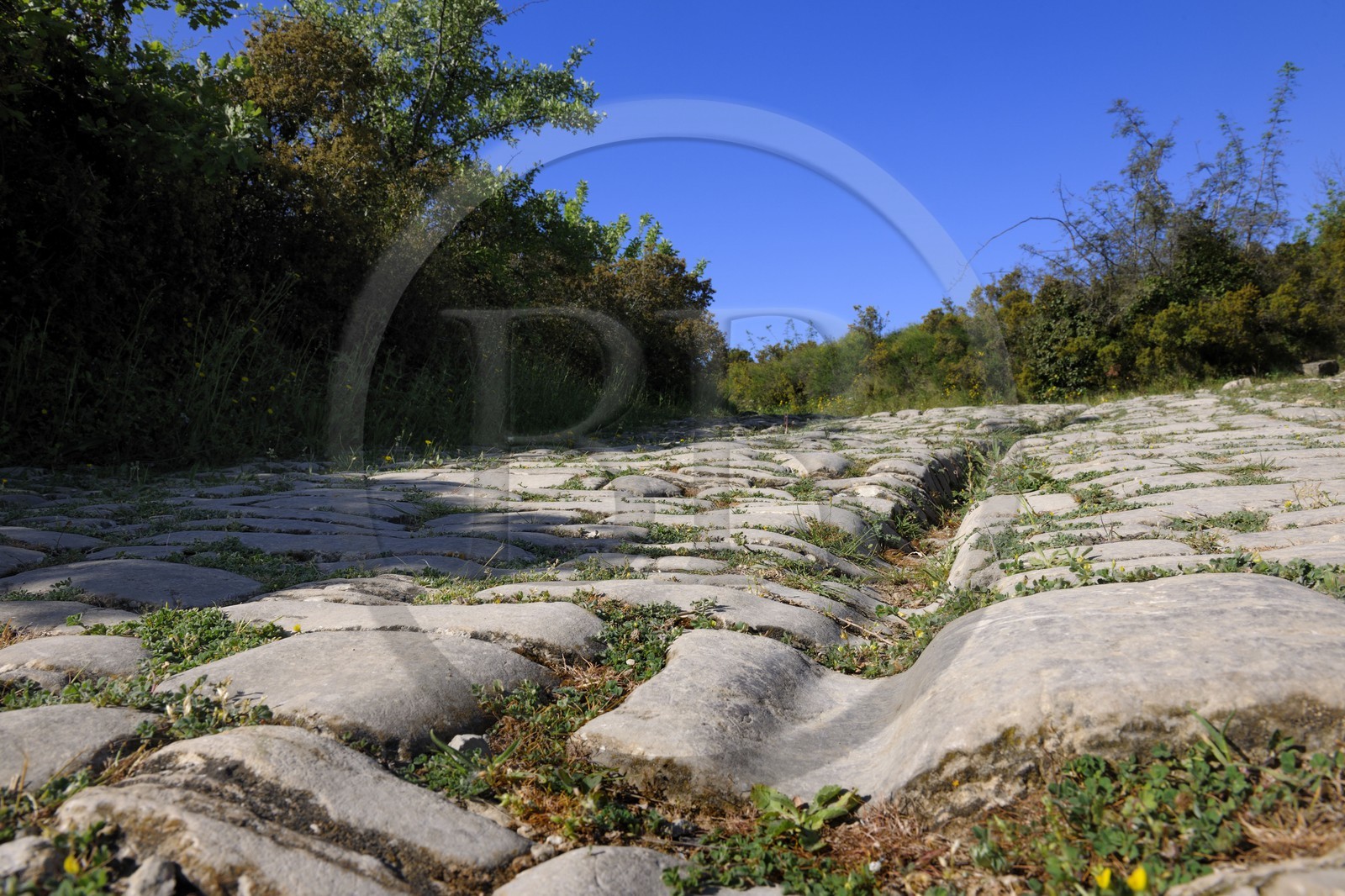 France, Herault, near Lunel, Oppidum of Ambrussum on the Via Domitia, paved streets worn out by the passage of wagons