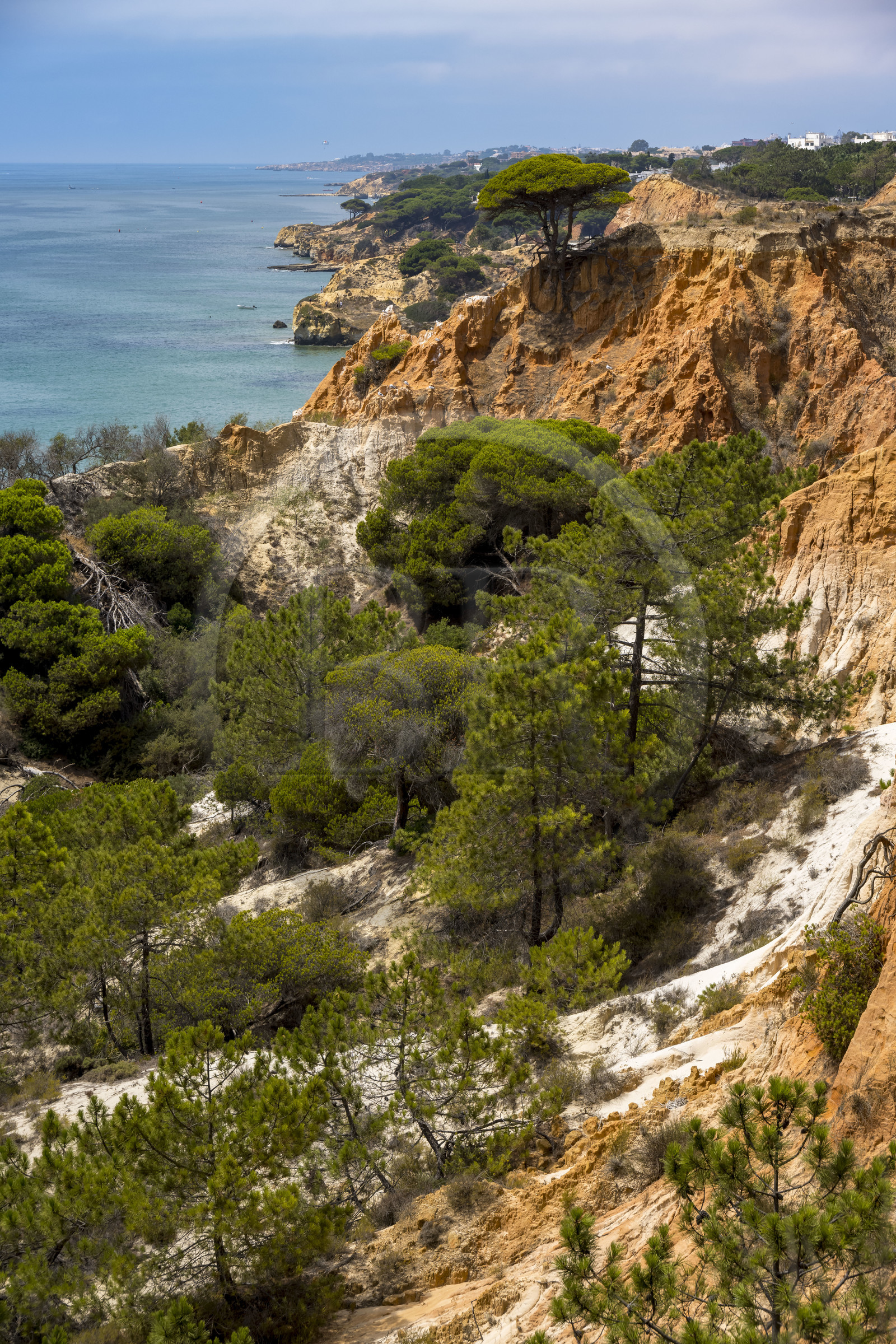 Portugal, Algarve, Olhos de Agua, la plage de Praia da Falésia surplombée par ses falaises rouges