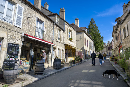 France, Yonne (89), parc naturel régional du Morvan, Vézelay, classé au Patrimoine Mondial de l'UNESCO, labellisé Les Plus Beaux Villages de France, point de départ de l'une des principales voies de pèlerinage de Saint-Jacques-de-Compostelle, la rue principale qui monte vers la basilique, la rue Saint Etienne qui devient la rue Saint Pierre