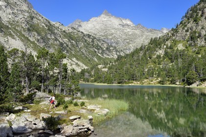 France, Hautes-Pyrénées (65), Saint-Lary-Soulan, Réserve naturelle nationale du Néouvielle, randonnée des lacs du Neouvielle, les Laquettes
