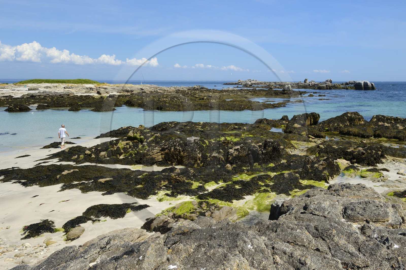 France, Finistere, La Foret Fouesnant, Glenan islands, Ile aux Moutons