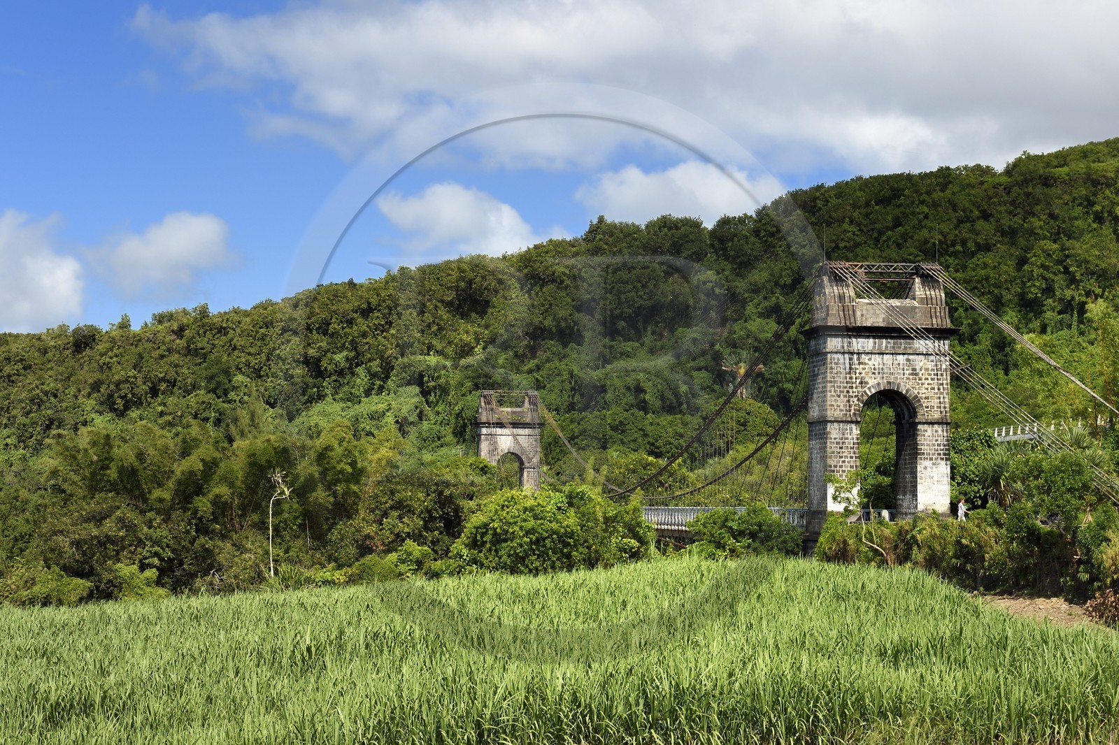 France, Ile de la Reunion, région de la Côte-au-vent, Sainte-Rose, pont suspendu de la rivière de l'Est