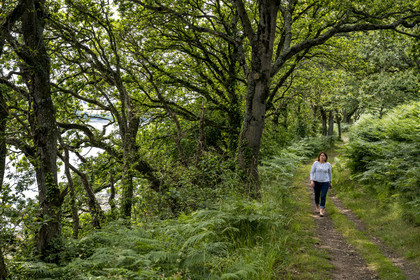 France, Finistère (29), Pays des Abers, chemin sous les arbres longeant l'Aber Benoit à Penhauban