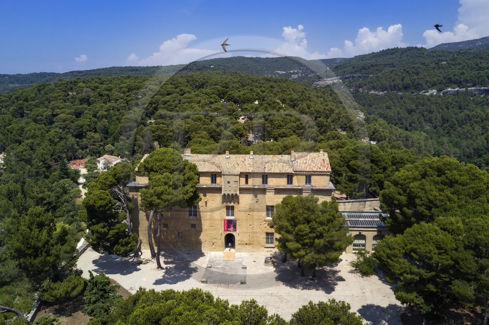 France, Vaucluse (84), Saumane-de-Vaucluse, Chateau de Saumane, une des residences du Marquis de Sade et vol de Martinet noir (Apus apus) (vue aérienne)
