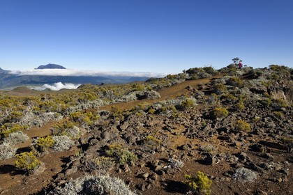 France, Ile de la Reunion, Parc National de la Réunion classé Patrimoine Mondial de l'UNESCO, sur les pentes du volcan de Piton de la Fournaise, randonneur sur le sentier de l'oratoire Ste Thérèse au dessus de la Plaine des Sables, le Piton des Neiges en arrière plan au nord