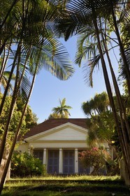 France, Reunion island (French overseas department), Berive les Hauts, behind an alley of golden cane palm (Dypsis lutescens) the historic case (house) of the Isautier Bérive estate in the heights of Saint-Pierre
