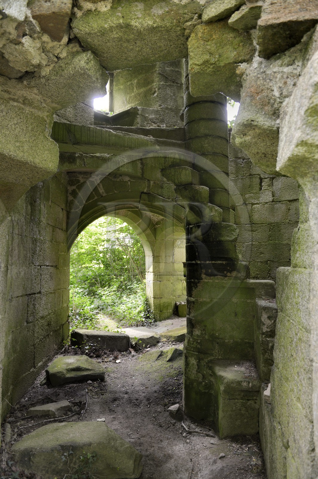 France, Finistère (29), Pont-Aven, Nizon, chateau de Rustephan, ancien manoir du XVe et du XVIe siècle en ruine