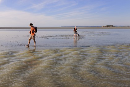 France, Manche, crossing by walking of the Bay of Mont Saint Michel, listed as World Heritage by UNESCO, and Tombelaine island