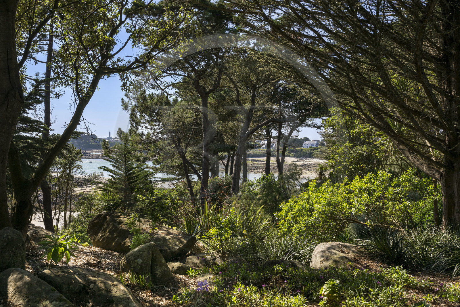 France, Finistère, Ponant Islands, Ile de Batz (Batz Island), Georges Delaselle Garden or colonial garden, an exotic garden with a unique botanical collection from the five continents