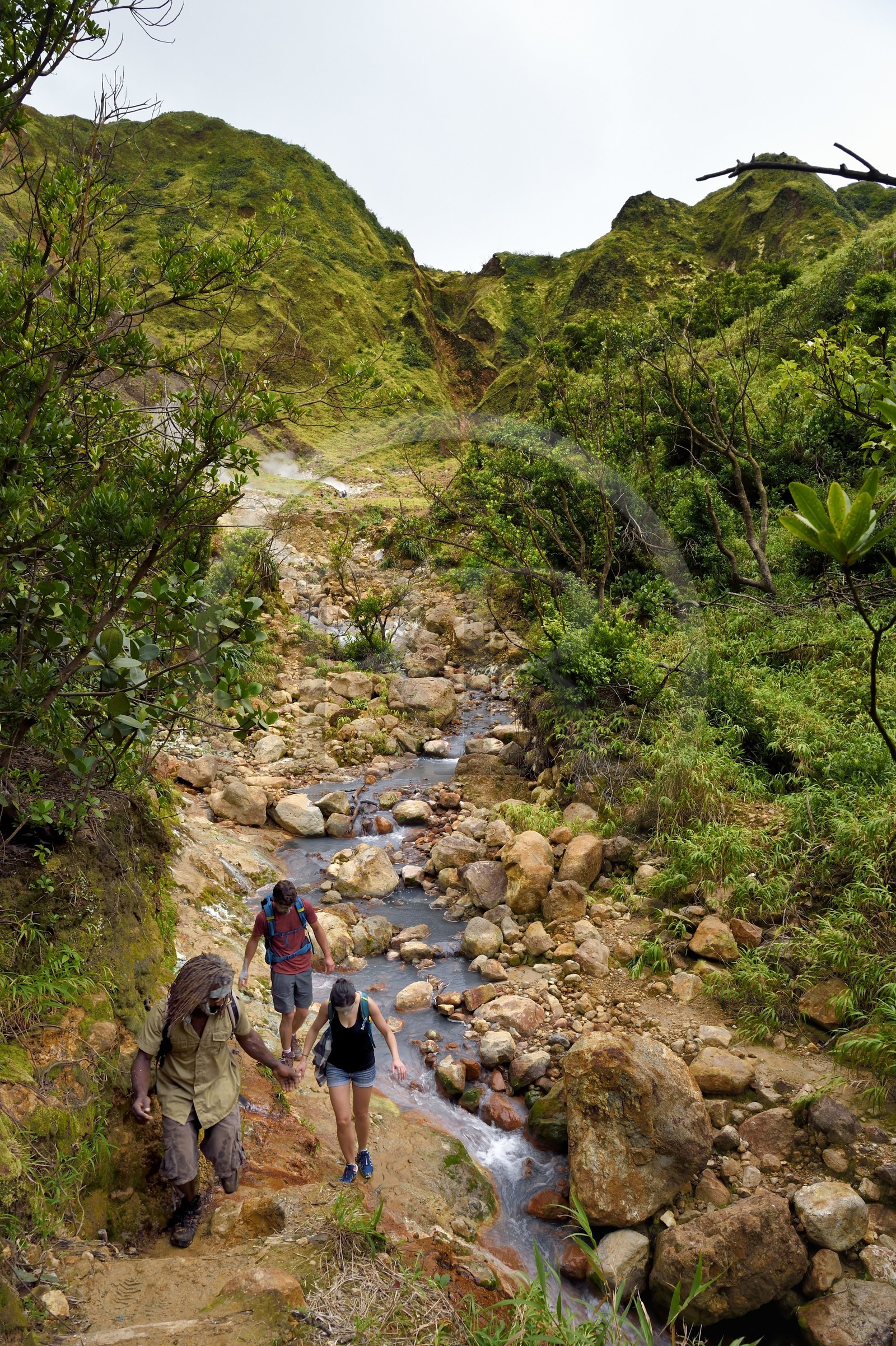 Caraïbes, Ile de la Dominique, Castle Bruce, Parc national du Morne Trois Pitons classé Patrimoine Mondial de l'UNESCO, la Vallée de la Désolation, randonneurs traversant une rivière aux sources d'eau chaude dont la couleur unique est due à la présence de calcium, de carbone, de soufre et de fer, sur le sentier menant au Boiling Lake