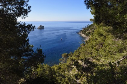 France, Var (83), La Seyne-sur-Mer, randonnée dans le massif du Cap Sicié le long du chemin du Joncquet en contrebas de la Corniche Merveilleuse, le Rocher des Deux Frères