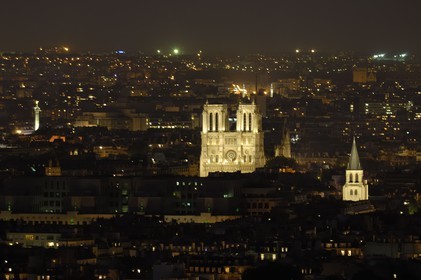 France, Paris (75), Ile de la Cité, cathédrale Notre-Dame de Paris de nuit