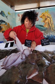 France, Seine-Maritime (76), Le Havre, port de pêche, marché aux poissons pratiquant la vente directe