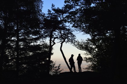 France, Bas Rhin, Mont Saint Odile, hike around the Pagan Wall, view from the Rocher Oberkirch over the plain of Alsace in the background