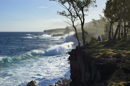 France, Ile de la Reunion, Côte Sud, Sainte-Philippe, la côte sud sauvage au Baril