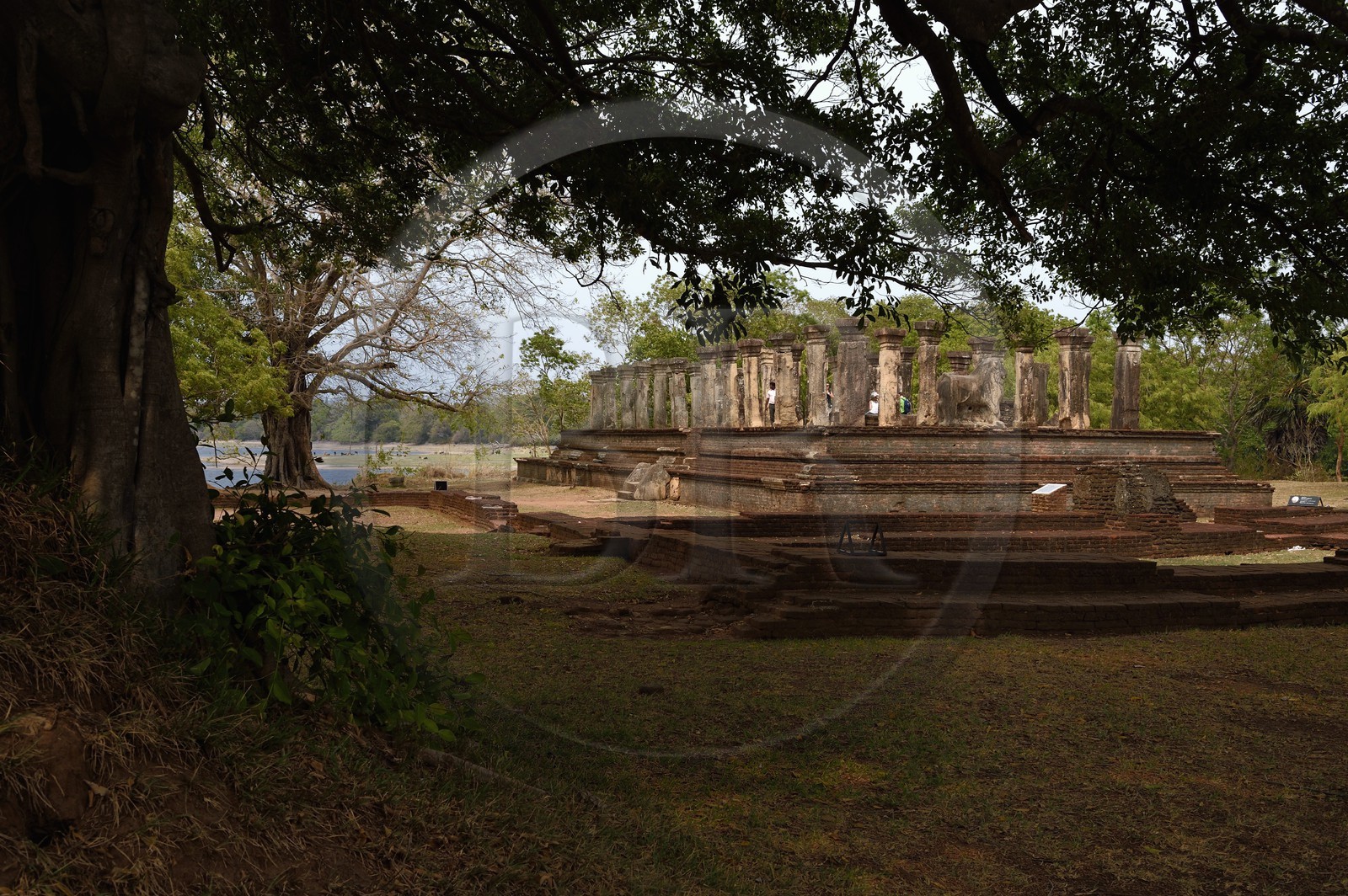Sri Lanka, province du Centre-Nord, Polonnaruwa, l'ancienne capital du pays (XIe au XIIIe siècle) est classée au Patrimoine Mondial de l'UNESCO, palais de Nissanka Malla, chambre du conseil royal