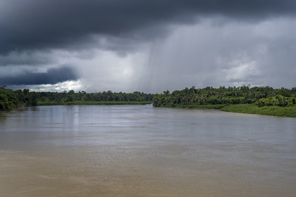 France, Guyane, Mana , les rives du fleuve Mana