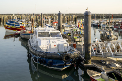 France, Charente-Maritime (17), La Rochelle, Port de pêche de Chef de Baie, le bassin des coureauleurs