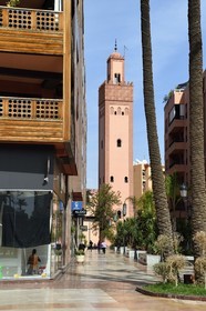 Maroc, Haut-Atlas, Marrakech, ville impériale, quartier moderne, quartier de Gueliz, batiments de style occidental et la mosquée Hassan II (mosquée de Turquie) à côté de la place du 16 novembre