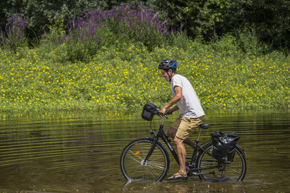 France, Maine-et-Loire (49), vallée de la Loire classée au Patrimoine Mondial par l'UNESCO, Dampierre à l'Est de Saumur, randonnée à bicyclette le long des berges de la Loire