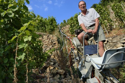 France, Rhône (69), Parc Naturel Régional du Pilat, Ampuis, vignoble AOC Côte Rôtie du domaine de Gilles Barge, monorail à crémaillère unique en France et destiné aux vendanges sur ces terres extrêmement pentues
