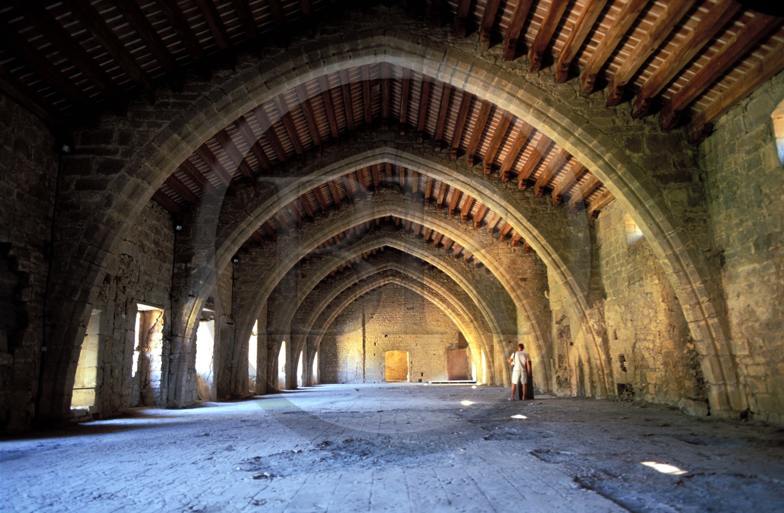France, Aude (11), village de Lagrasse, labellisé Les Plus Beaux Villages de France, ancien dortoir de l' abbaye Sainte-Marie de Lagrasse