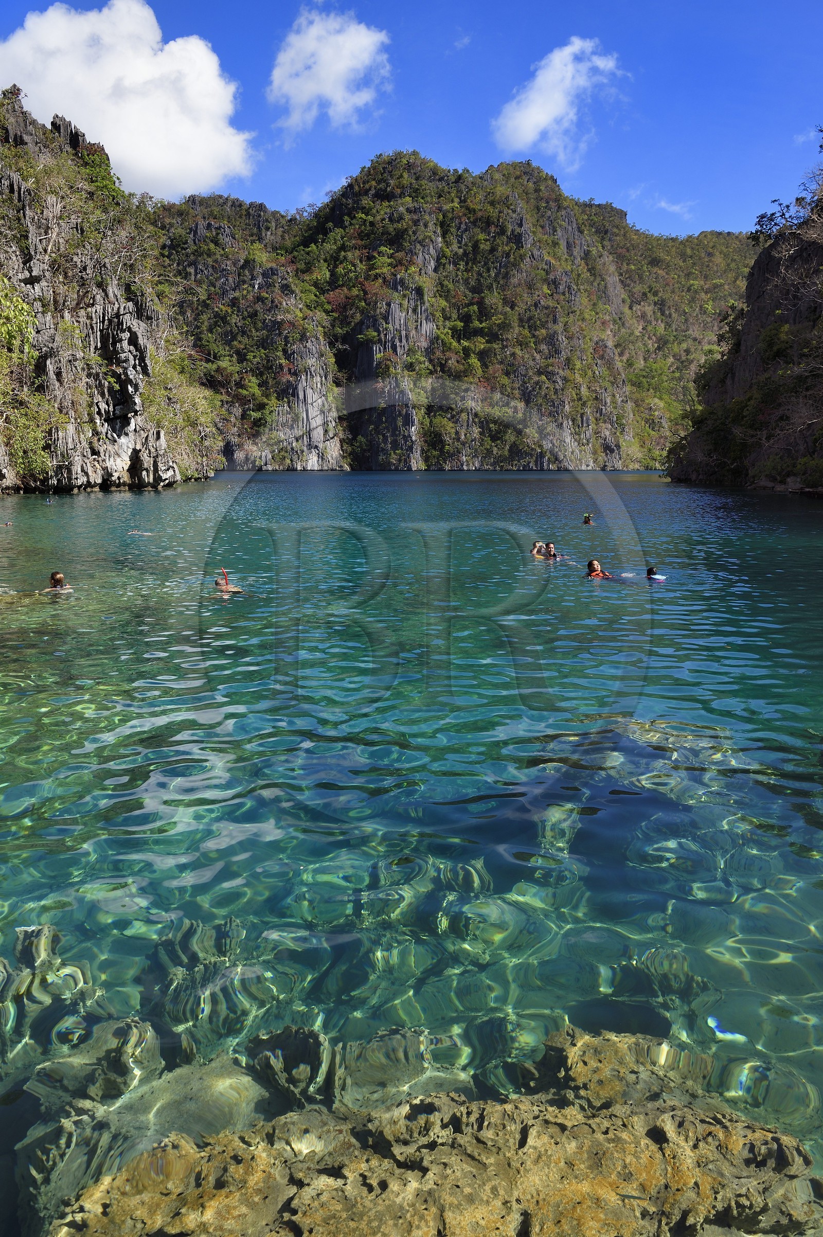 Philippines, Calamian Islands dans le nord de Palawan, Coron Island Natural Biotic Area, le lac Kayangan entouré de falaises abruptes et formations rocheuses karstique en calcaire du Permien