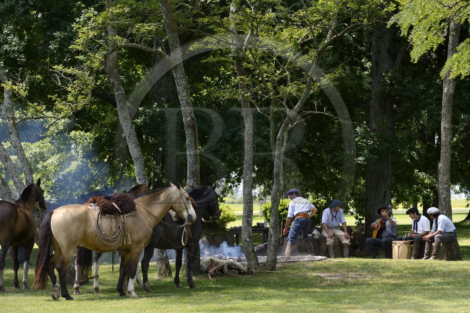 Argentine, province de Buenos Aires, San Antonio de Areco, estancia La Bamba de Areco, gauchos au campement, c'est le temps de la musique et des chants Estilos et Milongas