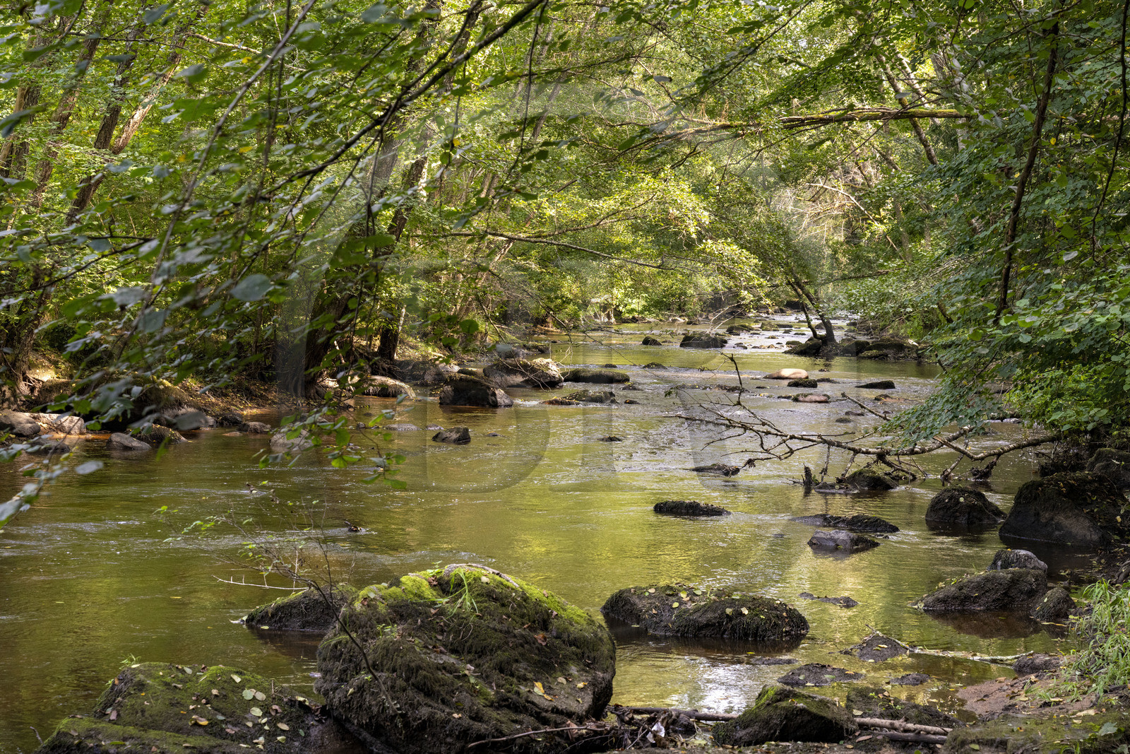 France, Yonne (89), vallée de la rivière Cousin vers Pontaubert
