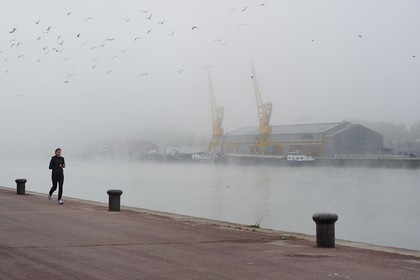 France, Seine-Maritime (76), Rouen, les anciens docks sur les quais de Seine, les grues par temps de brouillard