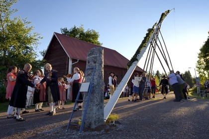 Suède, comté de Dalécarlie, région de Leksand, célébrations du solstice d'été dans le petit hameau de Hjulbäck, levée du mât de l'arbre de mai