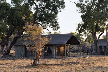 Zimbabwe, province de Matabeleland septentrional, parc national Hwange, une tente du Wilderness Safaris Davison's Camp