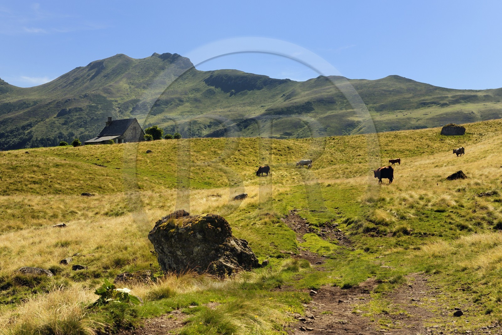 France, Cantal (15), monts du Cantal, Parc Naturel Régional des Volcans d' Auvergne, le buron d' Eylac et la montagne du Puy-Mary (1783m)
