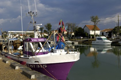 France, Charente-Maritime (17), Ile d'Oléron, port de Boyardville