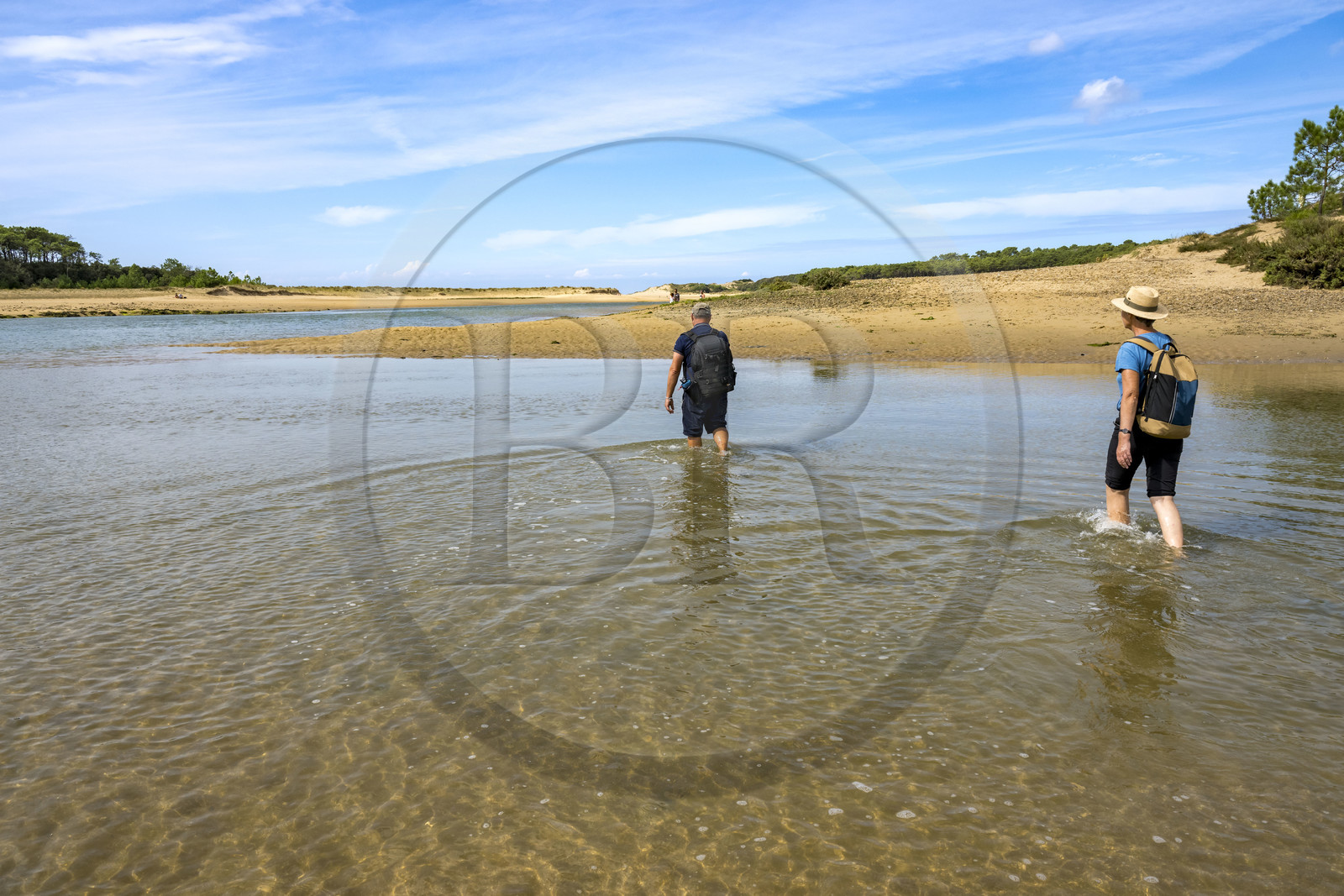 France, Vendée (85), Talmont Saint Hilaire, la Pointe du Payré, crossing of the mouth of the Payré river at low tide by hikers