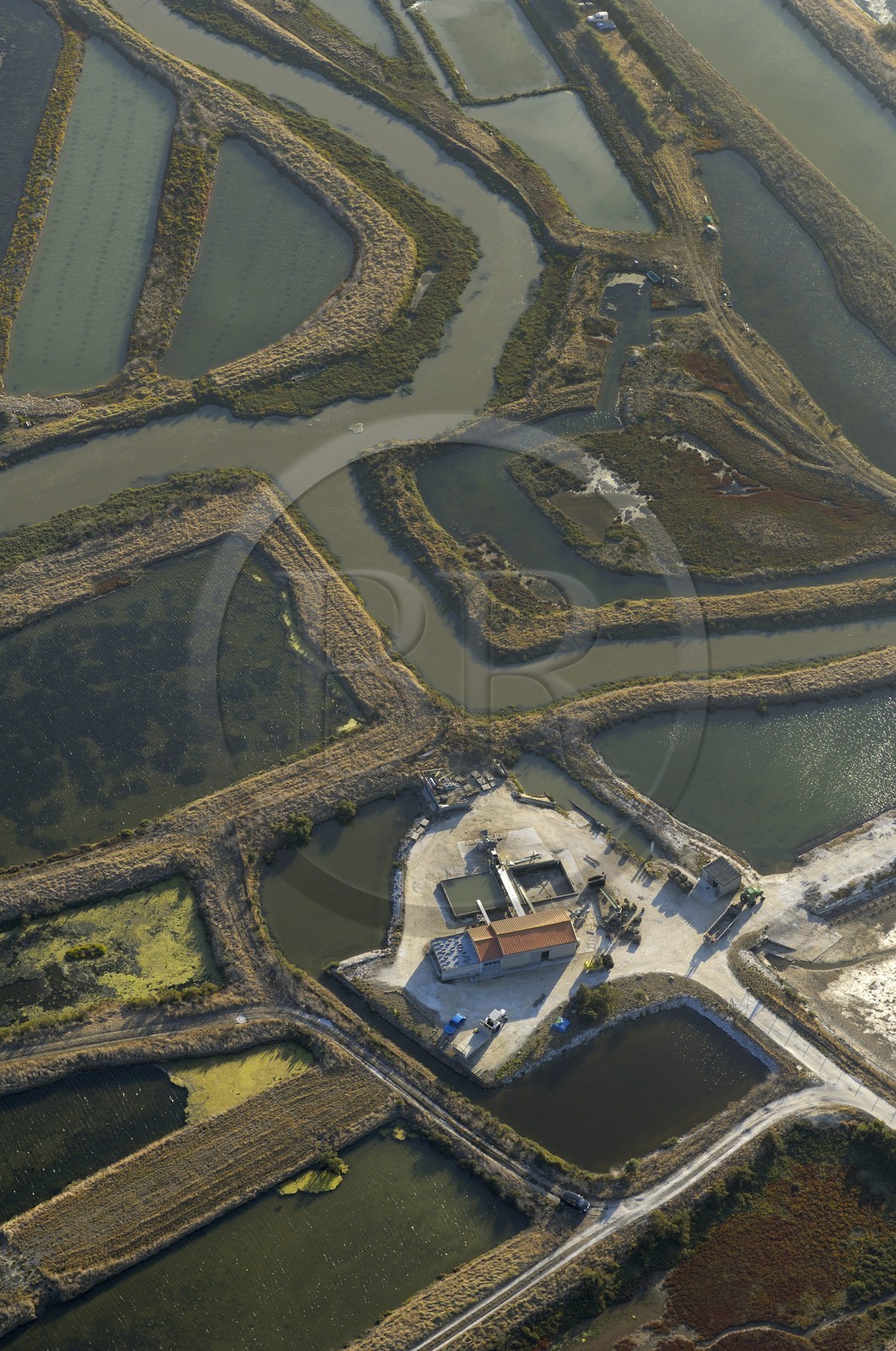 France, Charente-Maritime (17), Ile de Ré, Fier d'Ars, vasières et marais salants (vue aérienne)