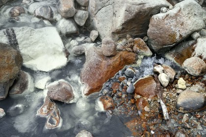 Caraïbes, Ile de la Dominique, Castle Bruce, Parc national du Morne Trois Pitons classé Patrimoine Mondial de l'UNESCO, la Vallée de la Désolation, rivière aux sources d'eau chaude dont la couleur unique est due à la présence de calcium, de carbone, de soufre et de fer, sur le sentier menant au Boiling Lake