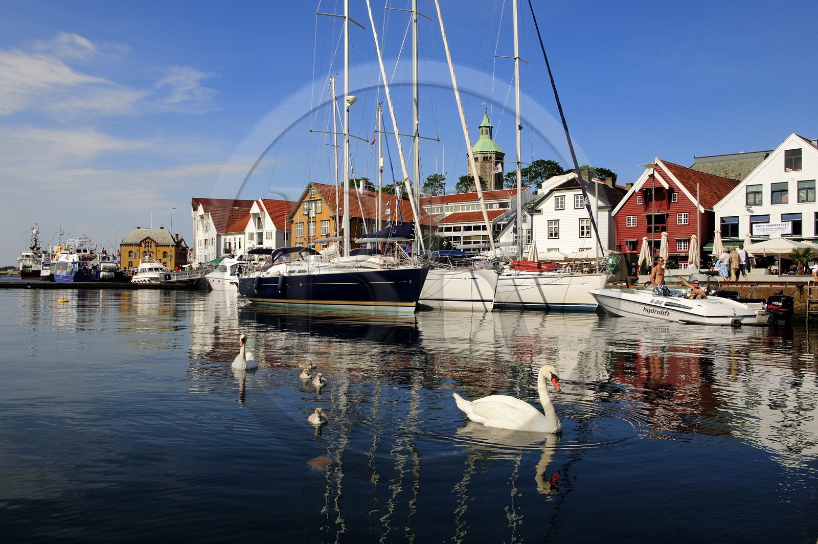 Norvège, Rogaland, Stavanger, bateaux de plaisance et cygnes dans le vieux port (Vagen)