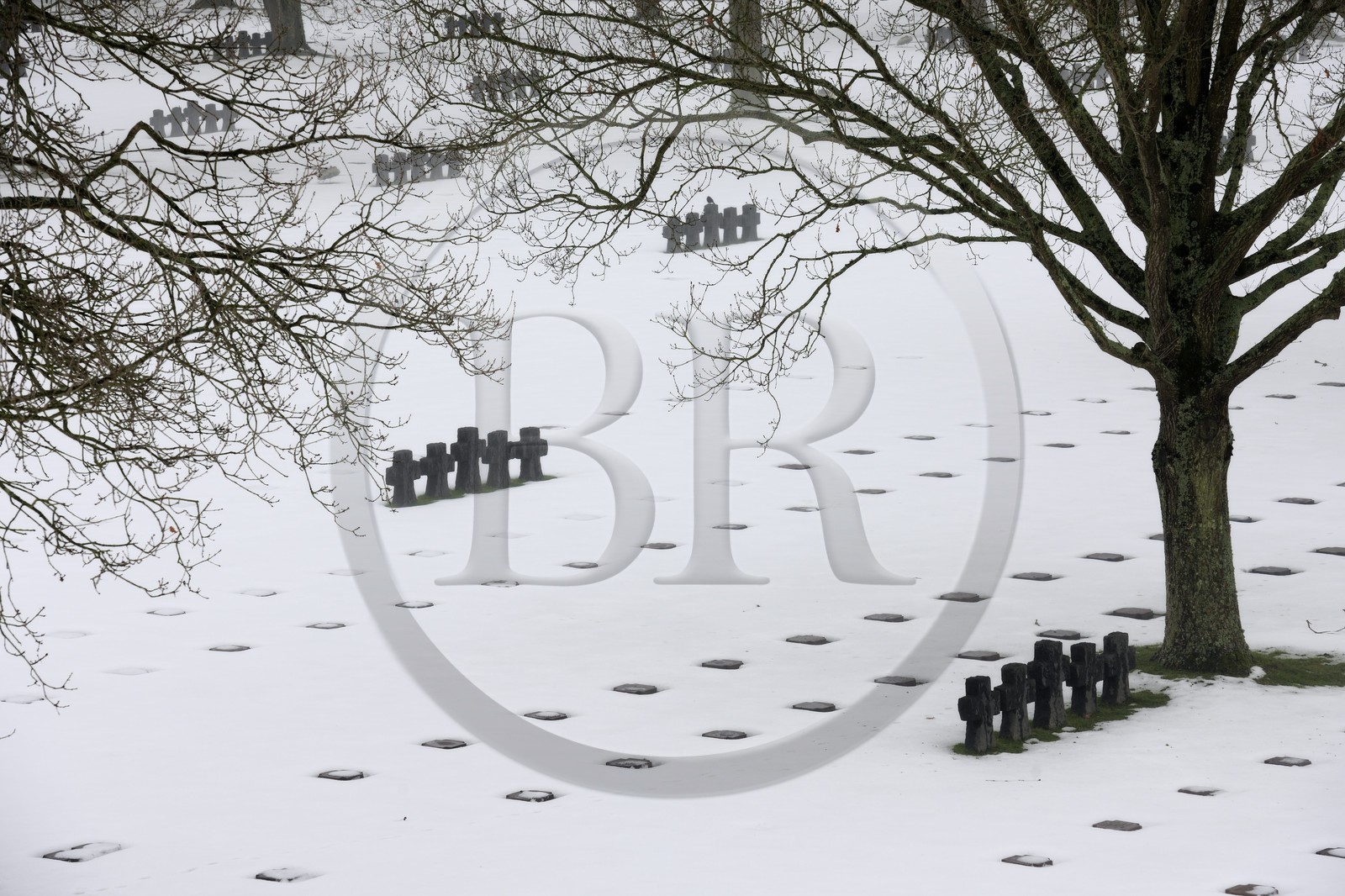 France, Calvados, La Cambe, German military cemetery of the second world war