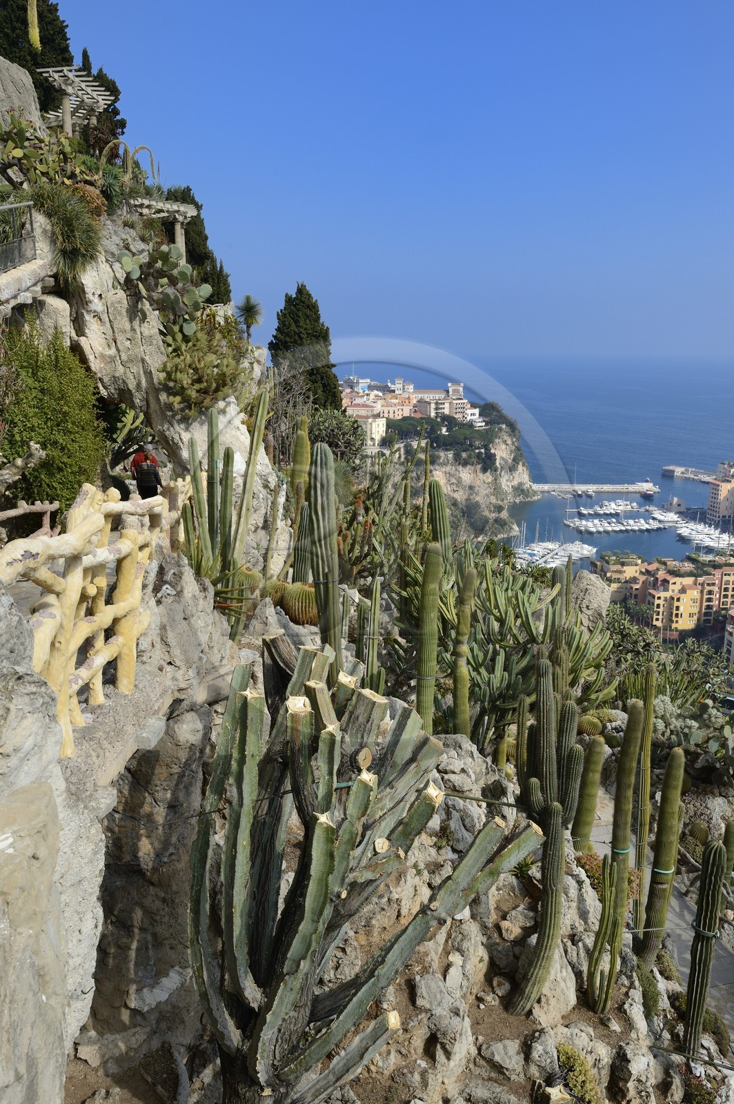 Principality of Monaco, Monaco, the Exotic Garden with a huge variety of Succulent plant species, the Rock and the Fontvieille port in the background