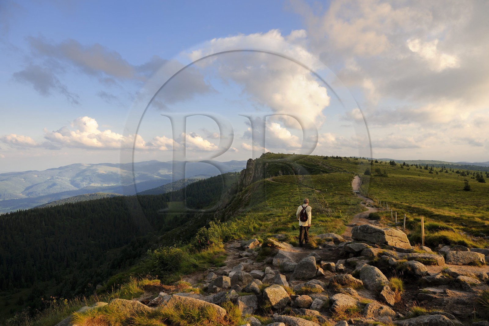 France, Haut-Rhin (68), la route des Crêtes, réserve naturelle tourbière du Tanet-Gazon-du-Faing