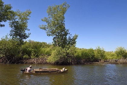 Nicaragua, la côte pacifique de Leon, pirogue chargée de bois dans la mangrove du parc national Isla Juan Venado