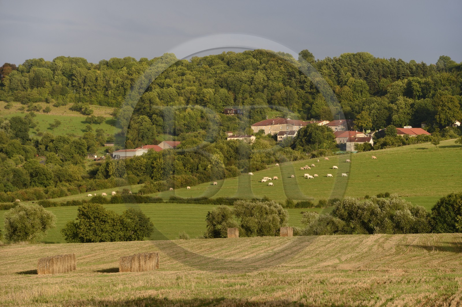 France, Meurthe-et-Moselle, Saintois region, colline de Sion-Vaudemont (hill of Sion) and the village of Saxon-Sion