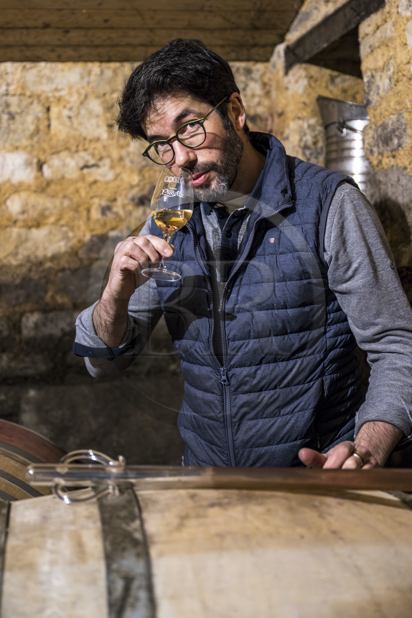 France, Vendee, Pissotte, winemaker Mathieu Coirier produces certified organic AOC Vendée stronghold wine