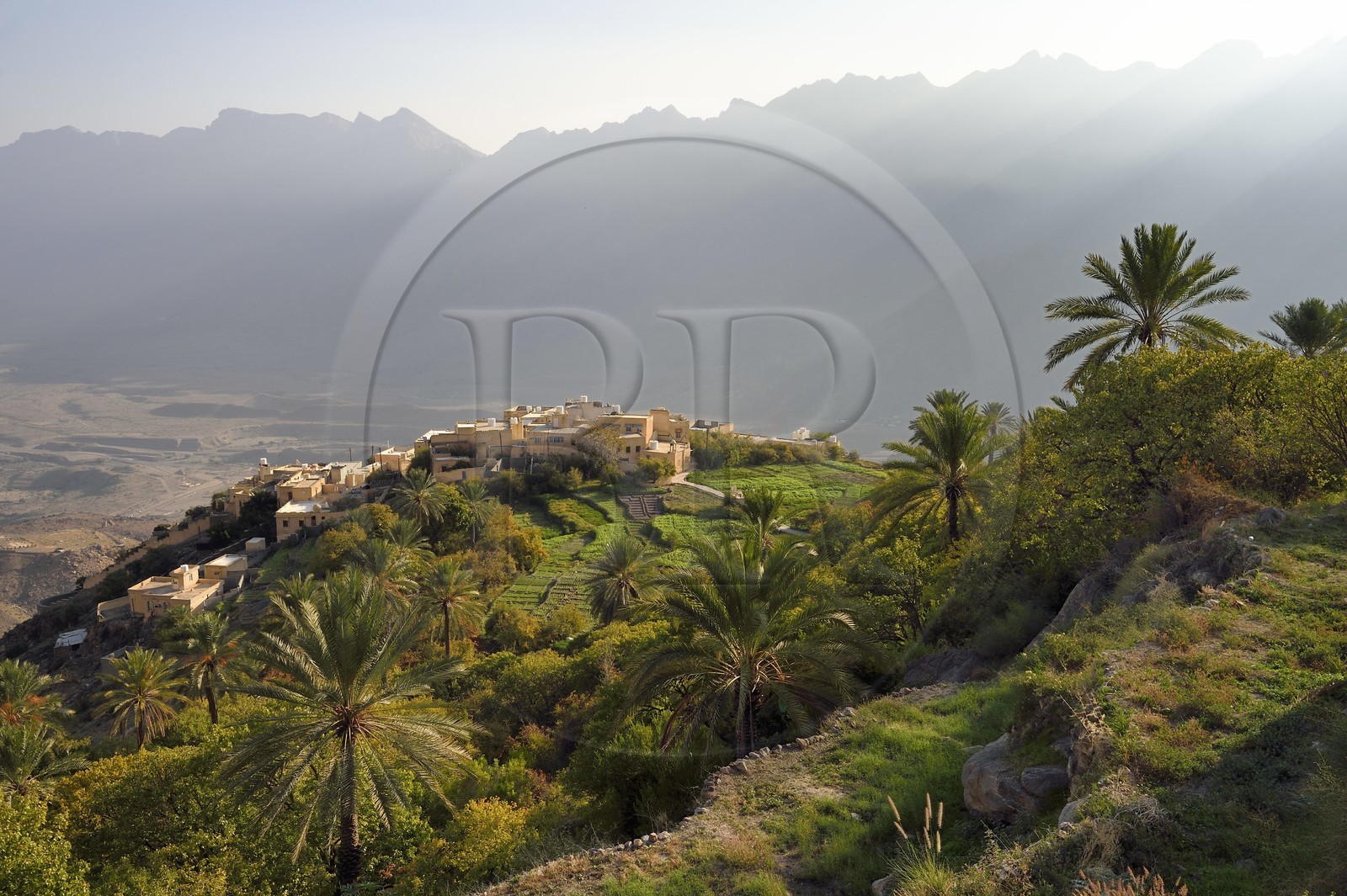 Sultanat d'Oman, Gouvernorat d'Al-Batina du Sud, Hajar occidental, Wadi Mistall, village de Wakan (Wukan) en dessous des cultures en terrasses