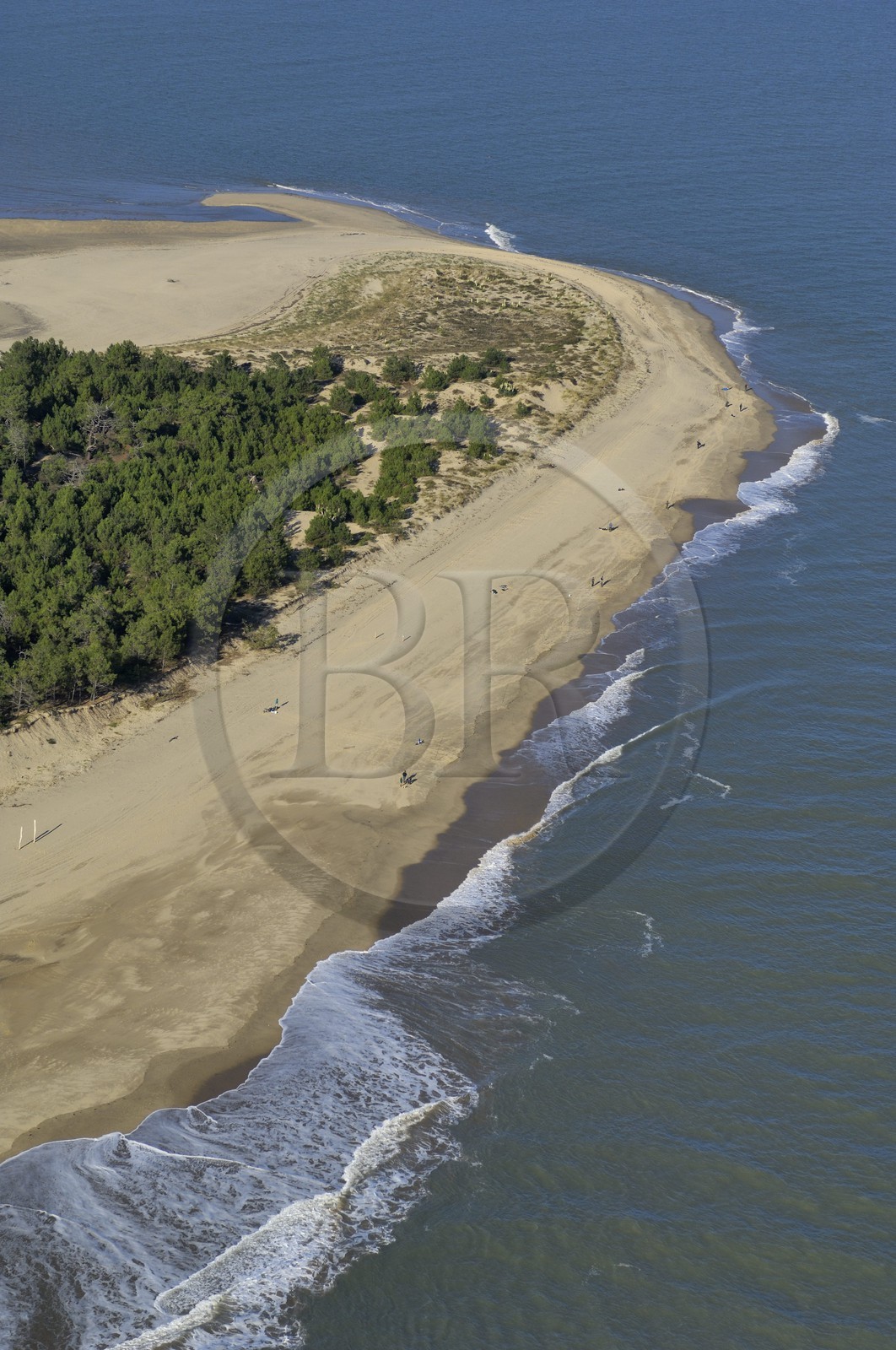 France, Charente-Maritime (17), Ile d'Oléron, pointe de Gatseau (vue aérienne)