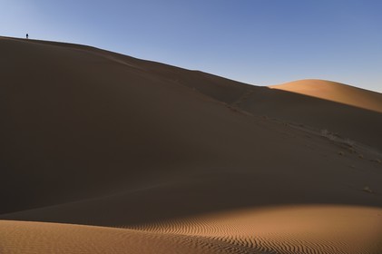 Iran, Province de Yazd, désert du Dasht-e Kavir, Moghestan, randonnée dans le massif dunaire dont la plus haute dune atteint les 200 mètres