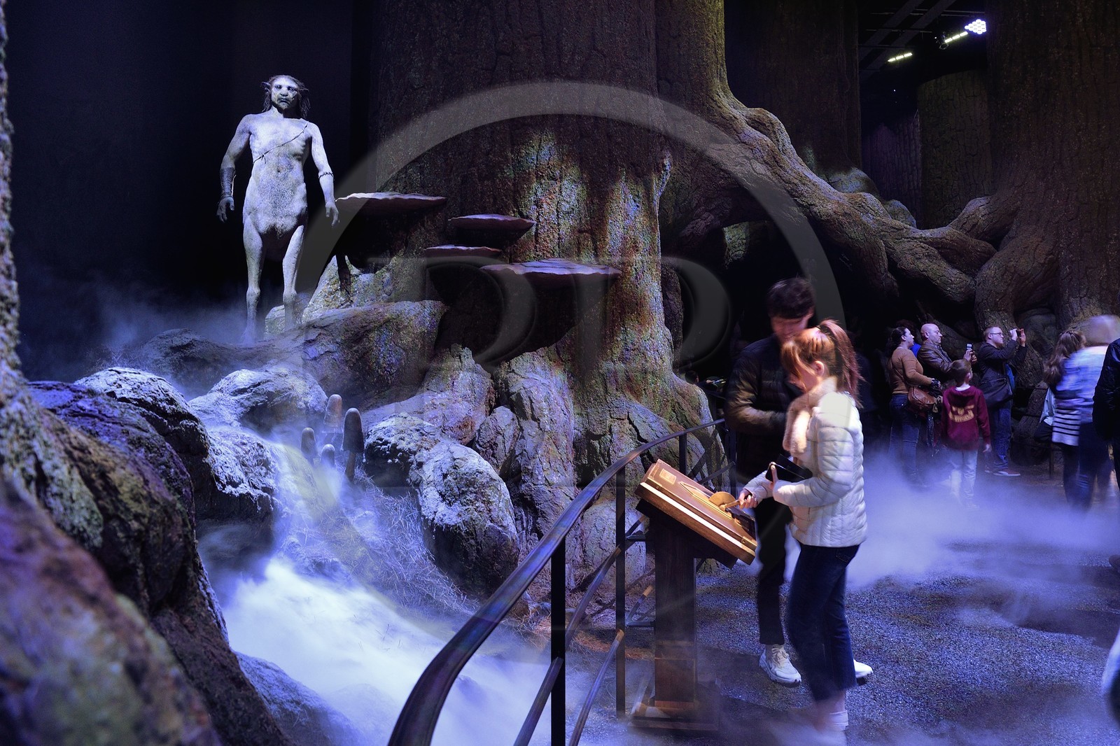 United Kingdom, Hertfordshire, Leavesden, Leavesden Film Studios, Harry Potter Studio Tour London, the scene of the eight Harry Potter movies' making of, the mythical Forbidden Forest