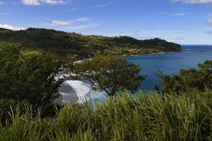 Caraïbes, Ile de la Dominique, côte Est, Baie de Pagua