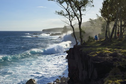 France, Ile de la Reunion, Côte Sud, Sainte-Philippe, la côte sud sauvage au Baril